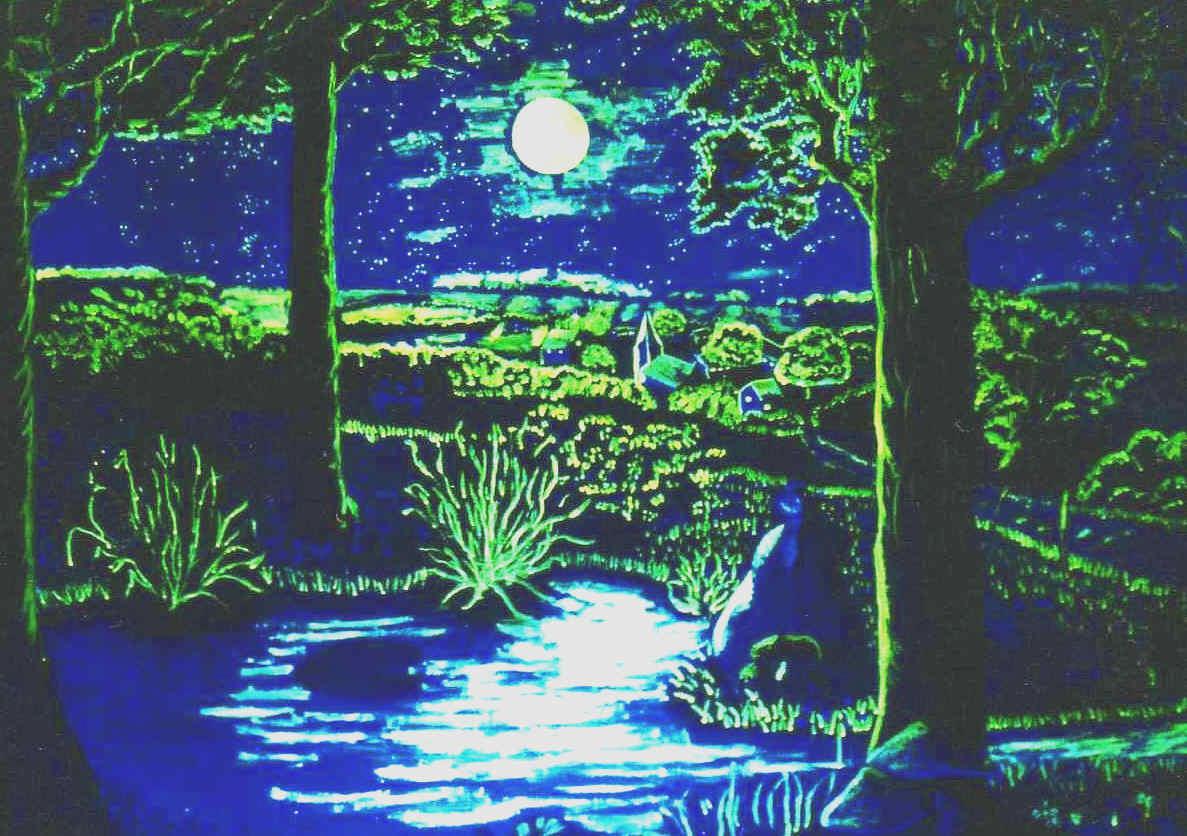 D&eacute;cor phosphorescent